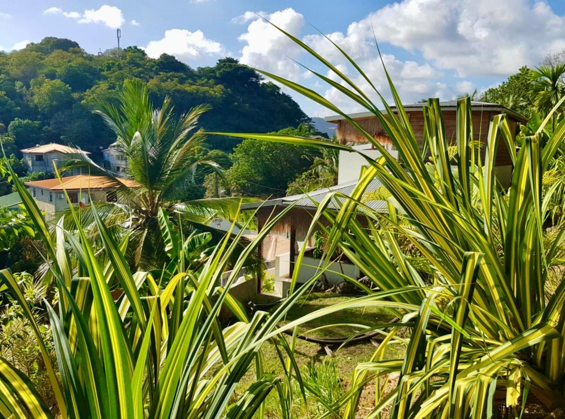 Apartamento Cocotier, Elegant T3 Avec Jardin Tropical Sainte-Anne Exterior foto